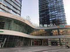 -棕榈MALL