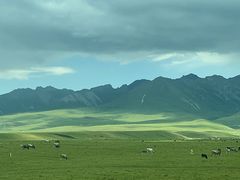 -新疆那拉提国家旅游度假区