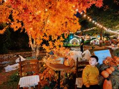 -HERRE·FARM 赫尔露营农场·团建聚会包场