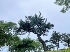 -珞珈山-售票处