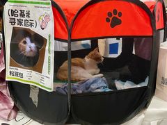 -开元商城(西旺店)