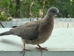 -上海交通大学(闵行校区)