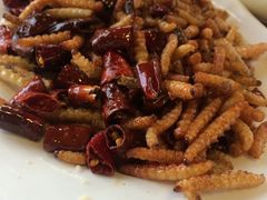 -东巴谷野生菌火锅餐厅