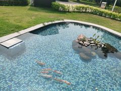 -芒洲湿地公园