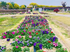 -广东花都香草世界旅游度假区