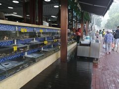 -睿柏云酒店-餐厅
