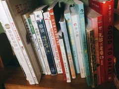 -猫猫幼稚园·撸猫·桌游·电玩