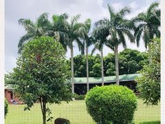 -侯臣咖啡文化村