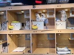 -喜狗宠物生活馆(岳州路店)