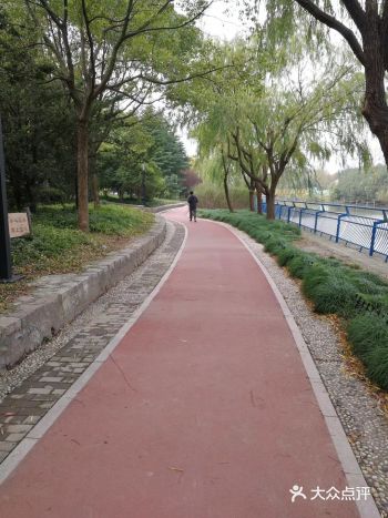 世纪公园外圈跑步道很赞