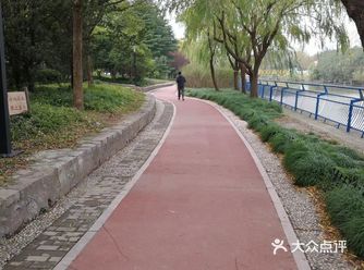 世纪公园外圈跑步道很赞
