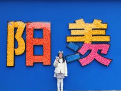 -雅达·阳羡溪山小镇中心