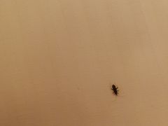 -舟山希尔顿酒店