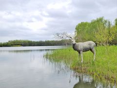 -溱湖国家湿地公园