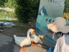 -中国翰园碑林