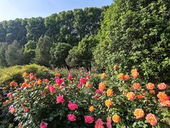 -河南省黄河迎宾馆