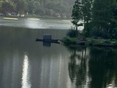 -重庆彩云湖湿地公园