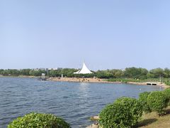 -丁香湖公园