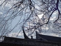 -苏州文庙(姑苏区)