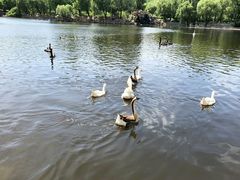 -石家庄市动物园