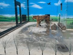 -保定市动物园