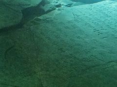 -白鹤梁水下博物馆