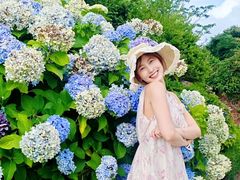 -济州森林小火车生态公园