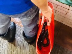 -寻味顺德·南记酒家·传统顺德菜·鱼生(广源路店)