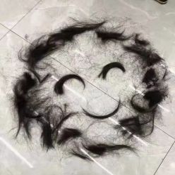 -丝语萱形象
