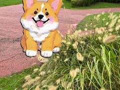 -春花秋色城市公园