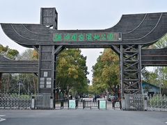 -溱湖国家湿地公园