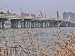 -蠡湖大桥公园