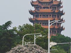 -黄鹤楼公园(黄鹤楼)