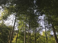 -仙岛湖旅游风景区