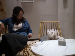 -藏猫猫咖啡主题馆(中央大道店)