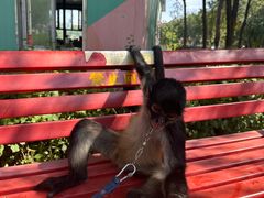 -水上乐园·欢乐世界