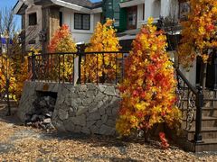 -Blue Concept Cafe&Farm·關於藍