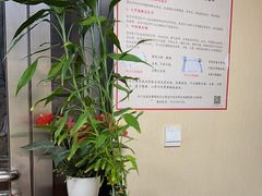 -传古推拿·古法按摩(义井路店)