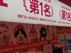 -K22.酸奶草莓(烟台芝罘店)