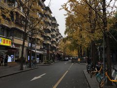 -奎星楼街