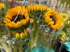 -盒马X会员店(上海森兰商都店)