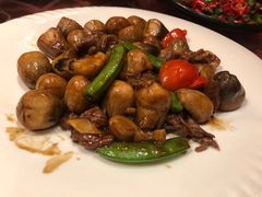 -侨美唐荔园·宴会厅(唐荔园食艺馆店)