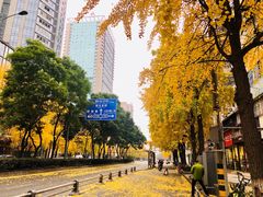 -胡成记口蘑龙眼包子(盐道街店)