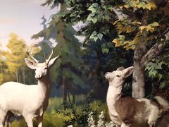 -陕西自然博物馆