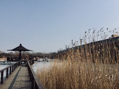 -前关湿地公园