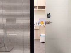 -凯特喵百思猫专科医院