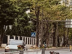 -东莞市博立雅外国语学校