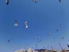 -星海广场