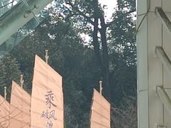 -南山植物园
