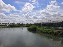 -马陆小张葡萄园农家乐